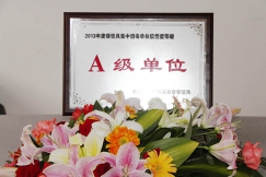 13年A级单位